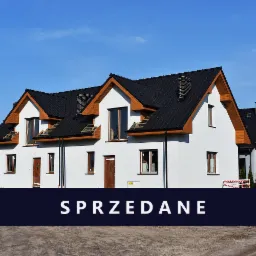 Bliźniak, Drużyna.