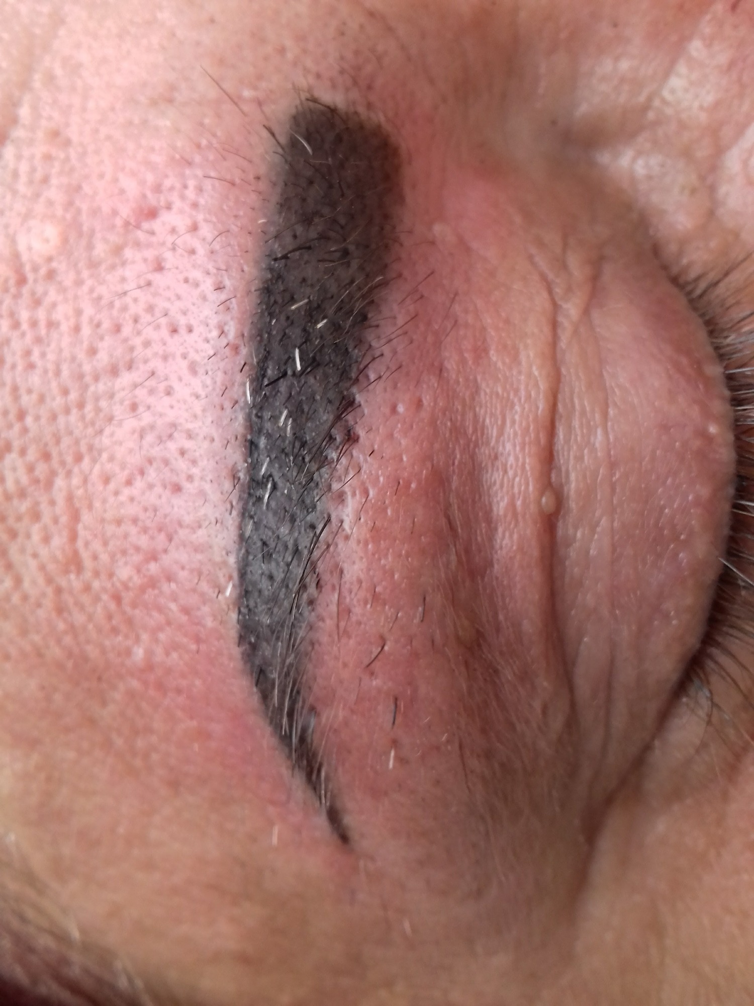 Makijaż permanentny brwi