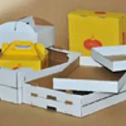 Zestaw różnorodnych, rozłożonych i złożonych kartonowych pudełek i pojemników w kolorach białym i żółtym, niektóre z widocznym brązowym wnętrzem, ułożonych na beżowym tle, z widocznym nadrukiem...