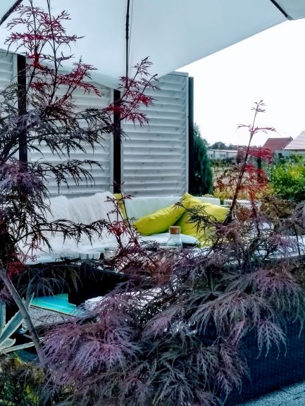 Zaciszny kącik wypoczynkowy w ogrodzie z sofą, żółtymi poduszkami i parasolem, częściowo przesłonięty przez ozdobne drzewko o bordowych liściach.