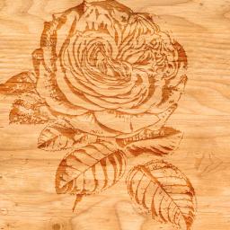Róża drewnie  moje wykonanie  zabawa z Adobe Photoshop