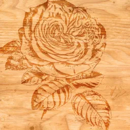 Róża drewnie moje wykonanie zabawa z Adobe Photoshop