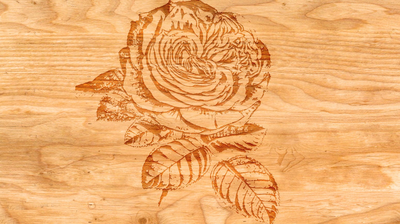 Róża drewnie moje wykonanie zabawa z Adobe Photoshop