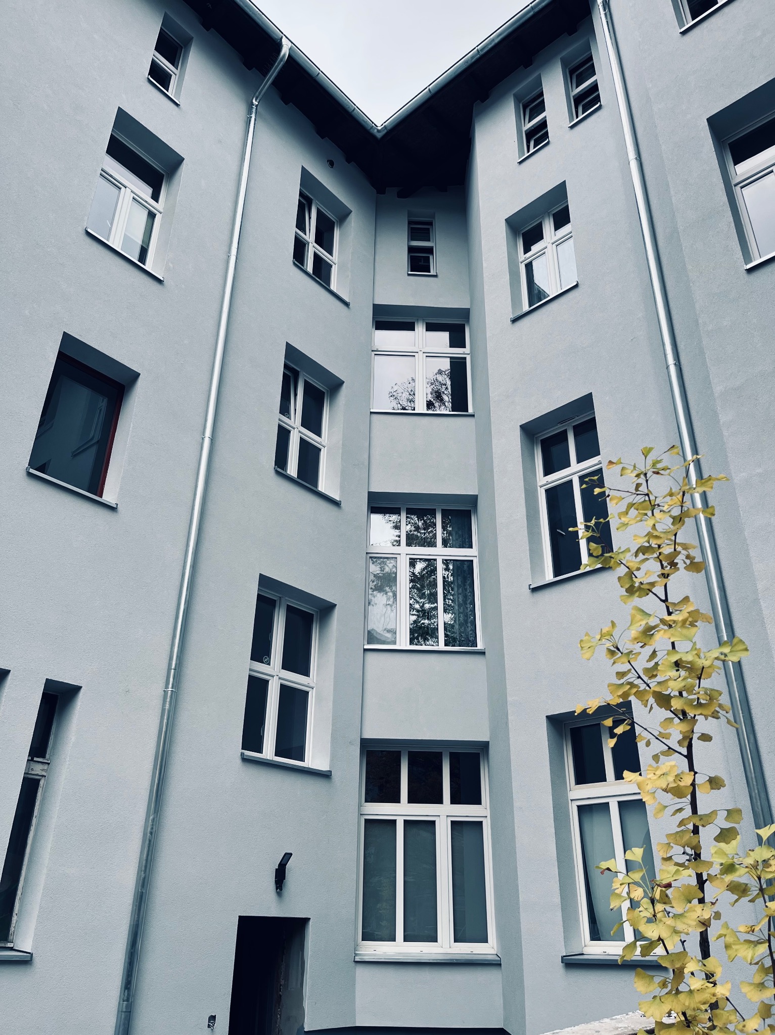Jasnoszara elewacja budynku wielorodzinnego z licznymi oknami, widziana z dołu pod kątem, z żółknącym drzewkiem na pierwszym planie po prawej stronie.