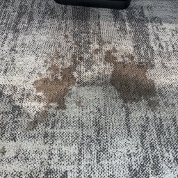 Zajmujemy się praniem wykładzin oraz foteli w biurowcach 
Myjemy również garaże 
Mycie witryn też jest w ofercie 