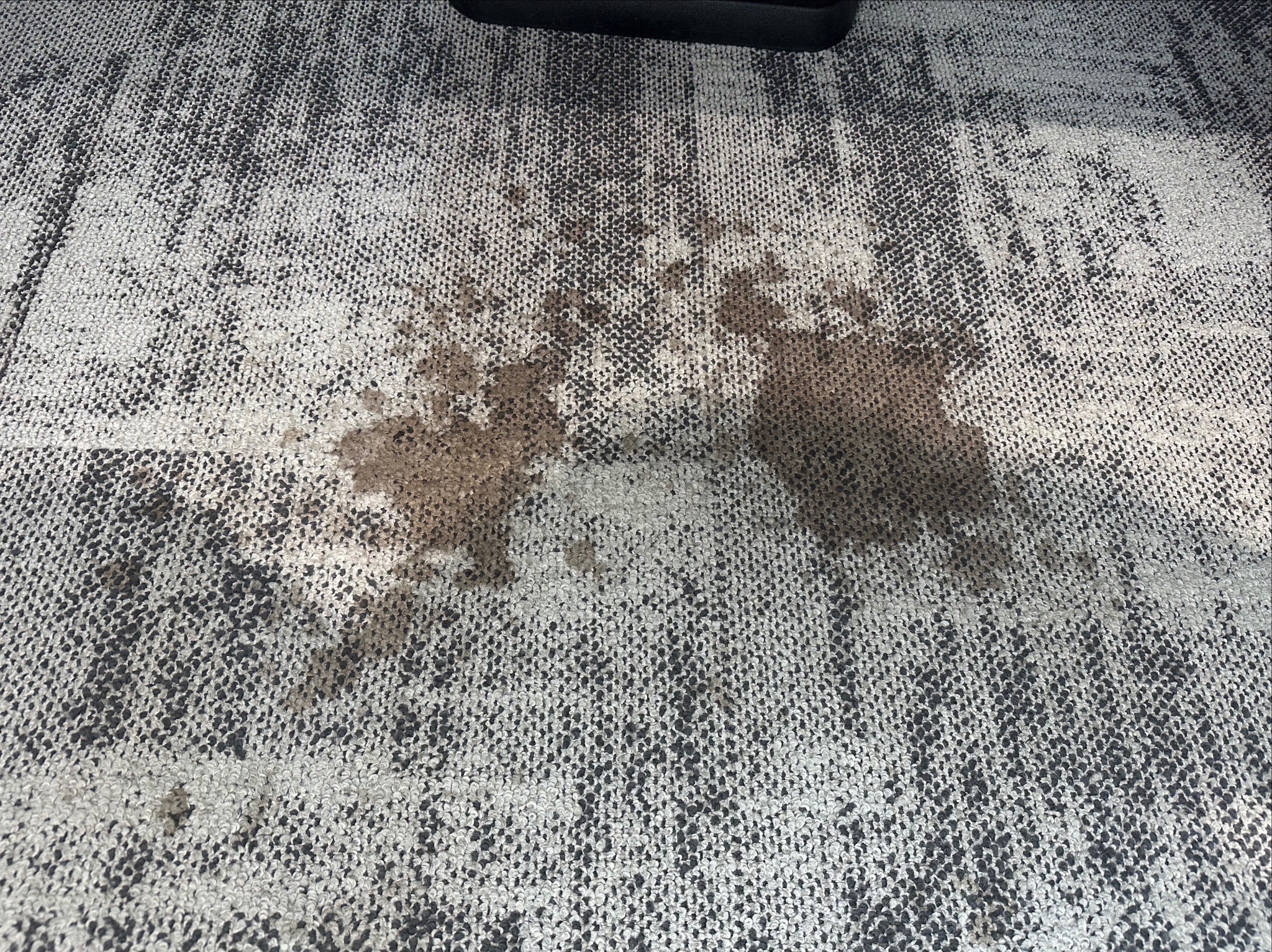 Zajmujemy się praniem wykładzin oraz foteli w biurowcach Myjemy również garaże Mycie witryn też jest w ofercie