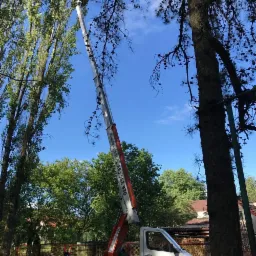 Biały samochód z podnośnikiem koszowym w akcji, pracownicy w koszu na tle drzew i błękitnego nieba, widoczny numer telefonu na ramieniu podnośnika.