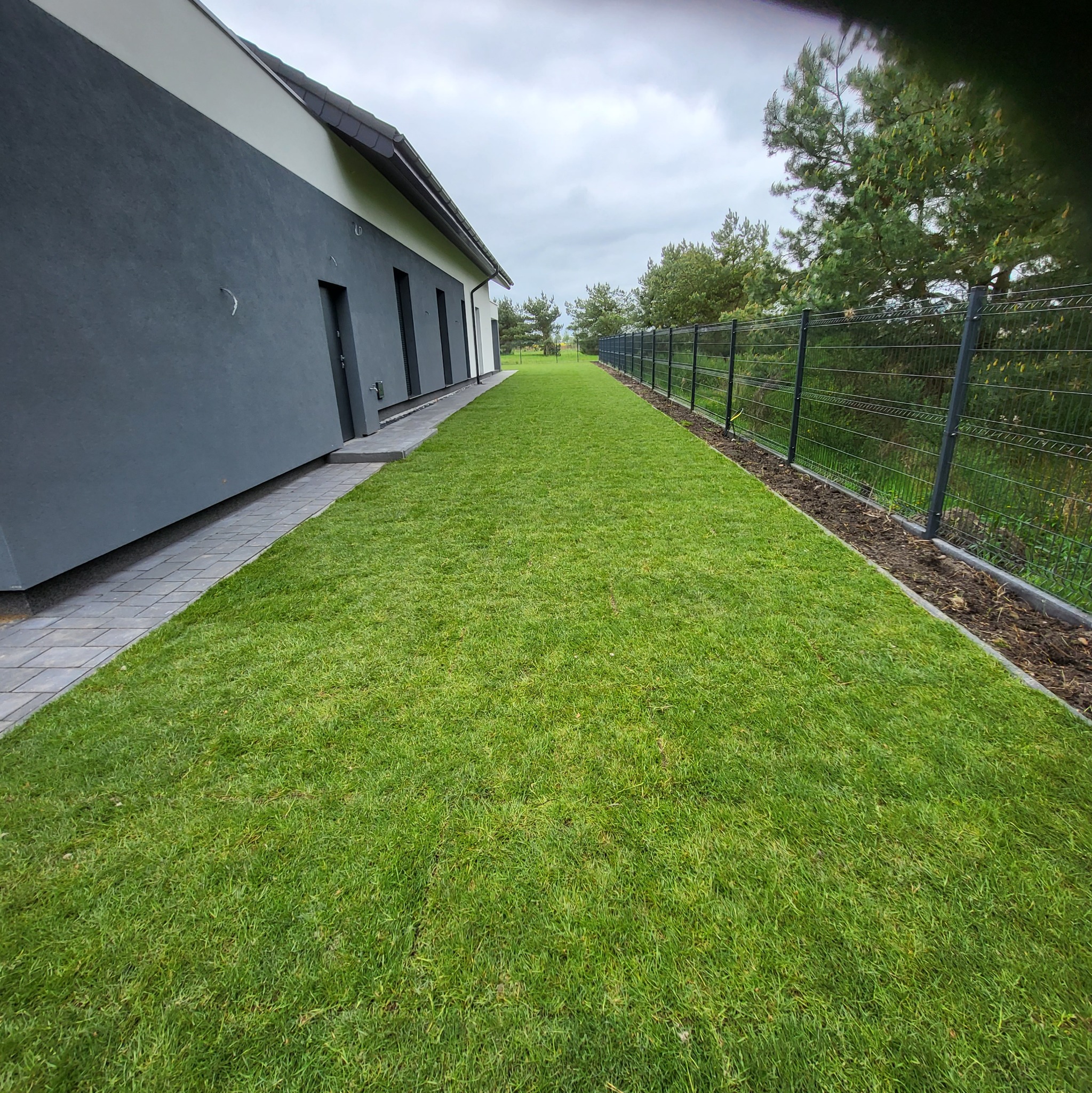 Świeżo ułożona trawa z rolki przylegająca do nowoczesnego domu z ciemną elewacją i szarym chodnikiem, ogrodzona metalową siatką z podmurówką, widok z perspektywy trawnika