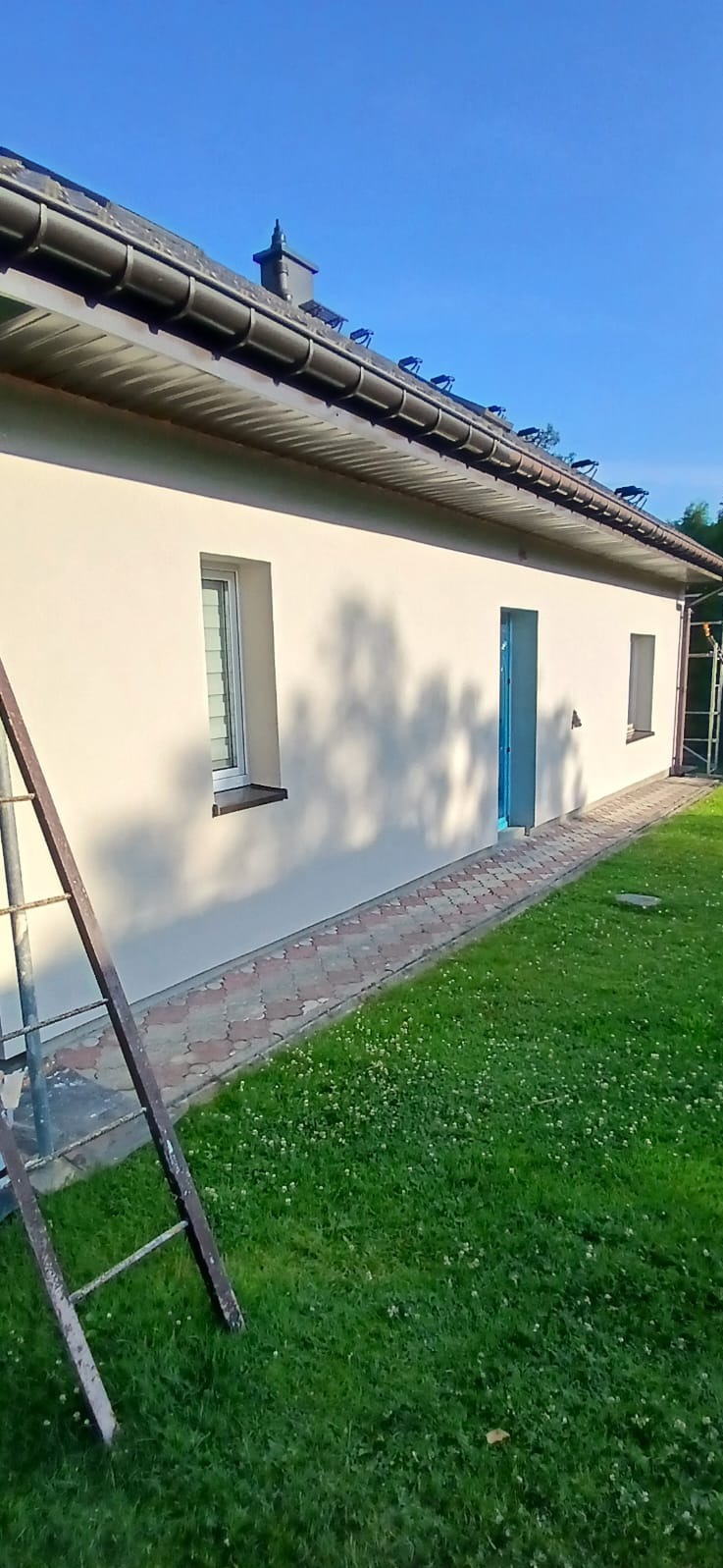 Świeżo otynkowana elewacja budynku jednorodzinnego z niebieskimi drzwiami wejściowymi, widoczna drabina oparta o ścianę, trawnik z koniczyną w pierwszym planie.