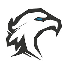 Stylizowana grafika głowy orła w kolorach bieli i grafitu z akcentem błękitnym w oku, na białym tle.