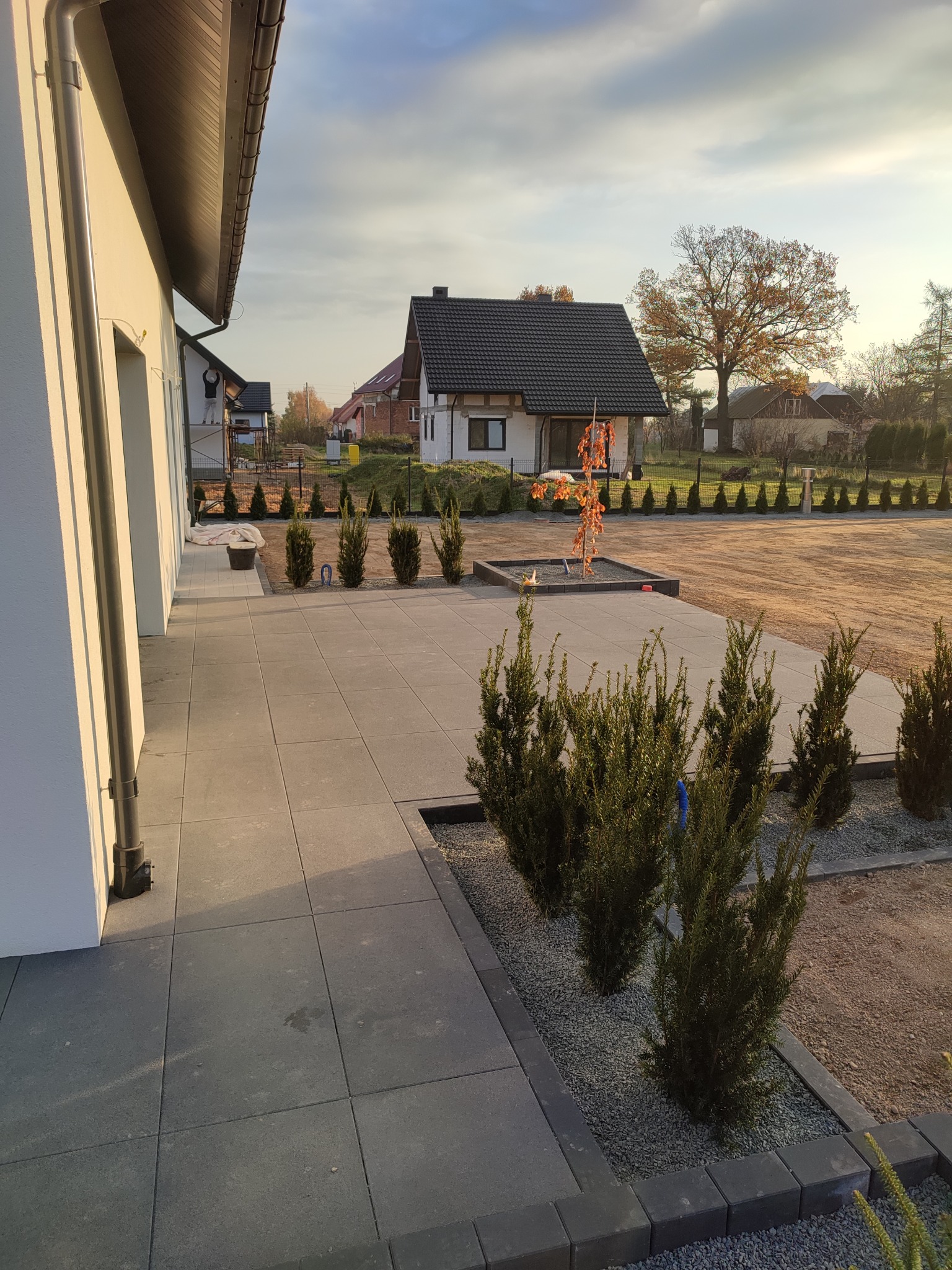 Ułożona szara kostka brukowa przed domem z nasadzeniami z tui i drzewka ozdobnego, widok na posesję z domami w tle.