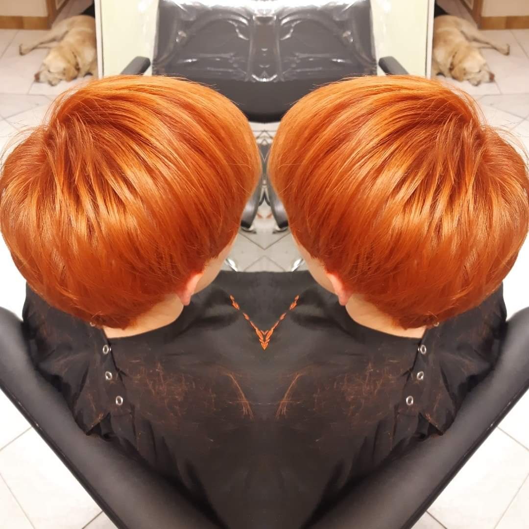 Krótkie, intensywnie rude włosy po strzyżeniu, widoczne z tyłu głowy, na fotelu fryzjerskim, z rozmazanym psem w tle.