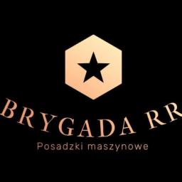Brygada RR - Posadzki przemysłowe Dobromierz