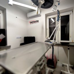 INTDOM MAREK KALINOWSKI - Jasne wnętrze gabinetu weterynaryjnego z klimatyzacją, stołem operacyjnym i lampą zabiegową. Widoczny logo firmy na ścianie.