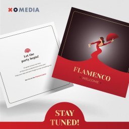 Key Visual dla wydarzenia Flamenco 2022 - materiały graficzne, druk, wystrój imprezy, pełna organizacja oraz materiały photo-video.