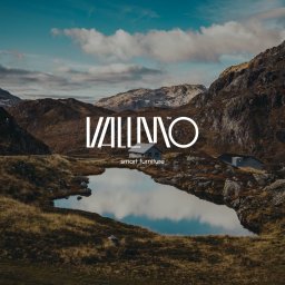 Stworzyliśmy nową markę VALLMO - polskiego producenta mebli. Od strategii przez wizerunek, aż po materiały BTL!