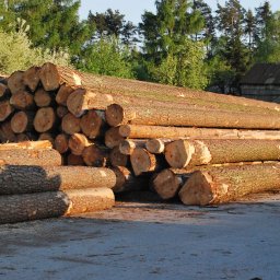 Przedsiębiorstwo Produkcyjno Handlowo Uługowe 