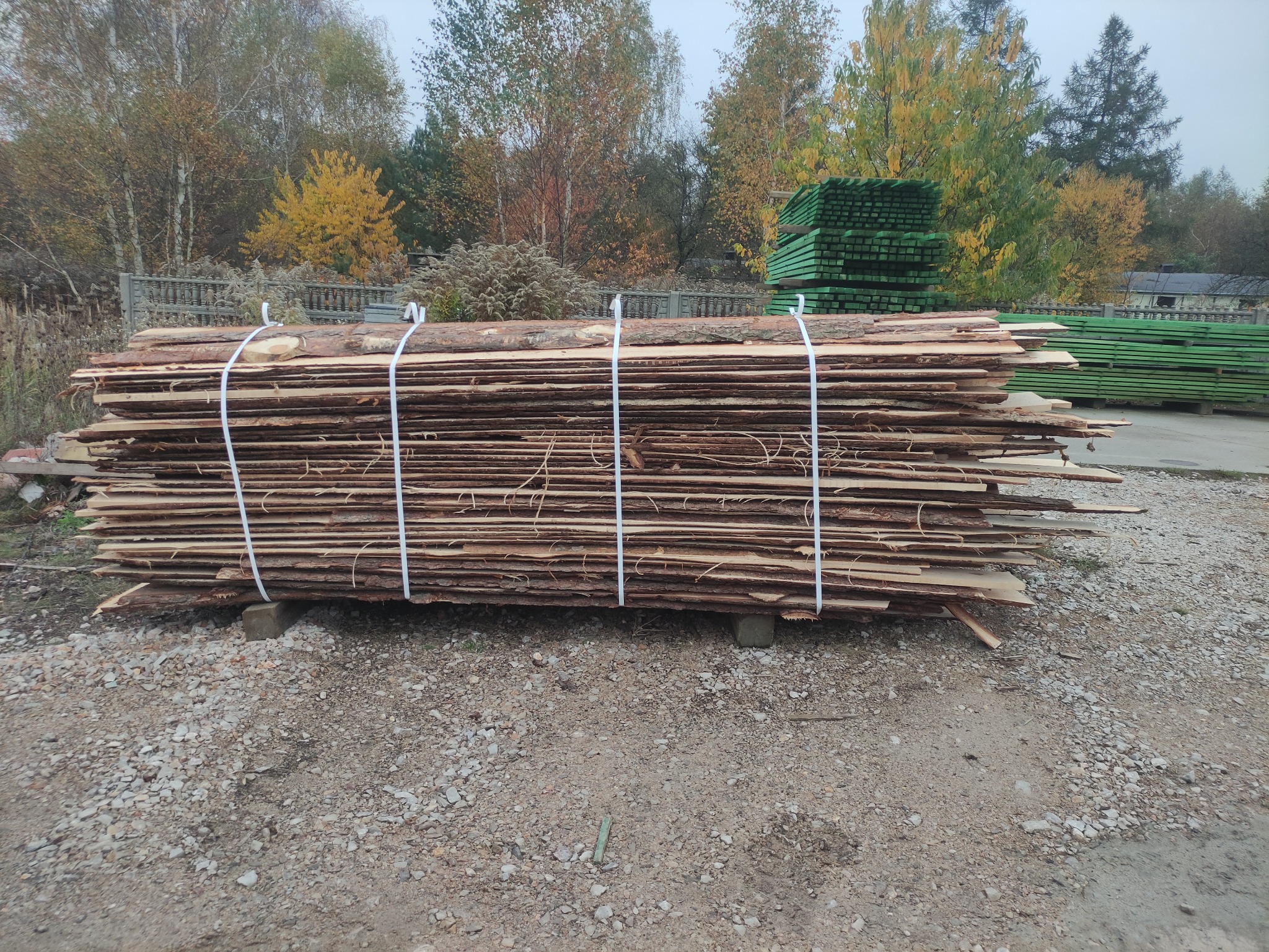 Stos nieobrzynowanej tarcicy, związany białym sznurkiem, leżący na betonowych bloczkach na żwirowym podłożu; w tle stosy zielonej tarcicy i jesienne drzewa.