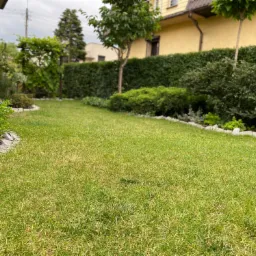 Przycinanie iglak&oacute;w czerwiec 2020 Leszno