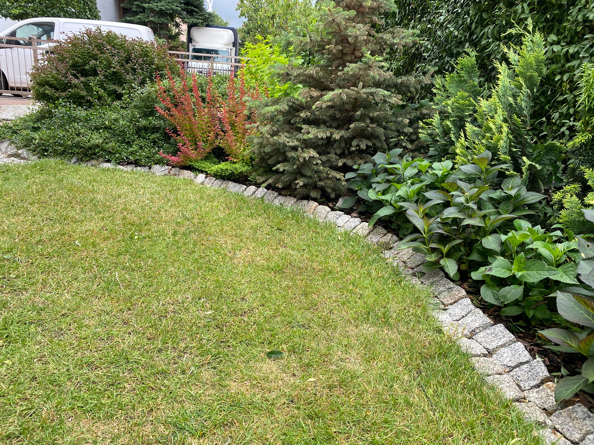 Pielęgnacja abonamentowa ogrodu Zatorze