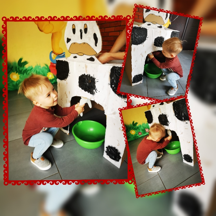 Chłopiec w czerwonej bluzce i dżinsach udaje dojenie krowy z kartonu, zielona miska pod wymionami, tło z malowidłami na ścianie.