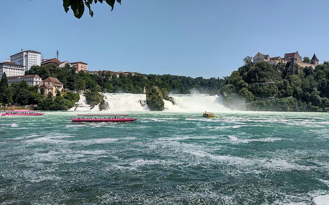 Reńskie wodospady w letnim słońcu. Dwa różowe statki wycieczkowe na pierwszym planie, zamek na wzgórzu w tle. Turystyczna atrakcja w Szwajcarii.