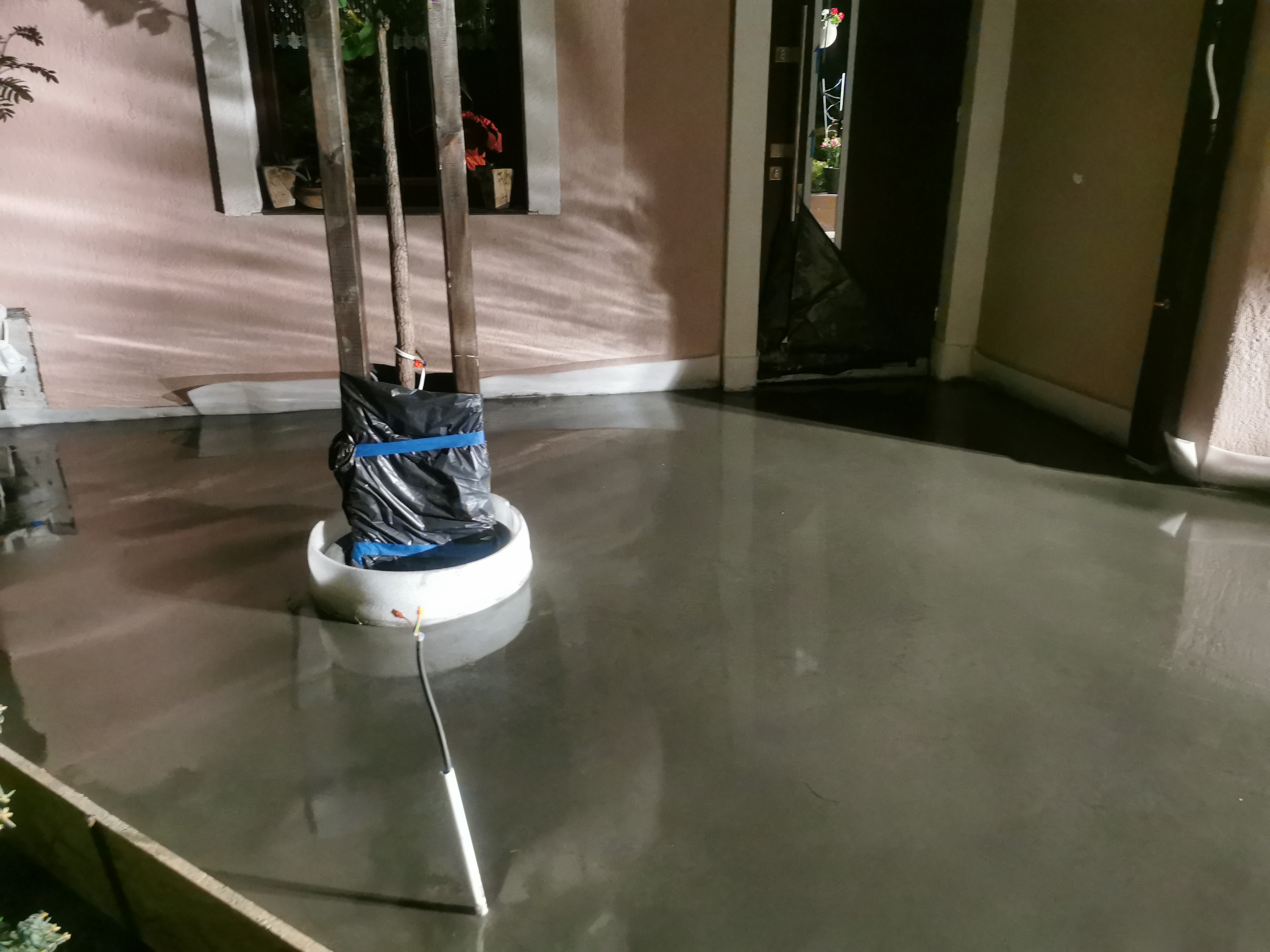 Świeżo wylana, mokra posadzka jastrychowa w pomieszczeniu z zabezpieczonym drzewkiem w donicy i otwartymi drzwiami na zewnątrz.