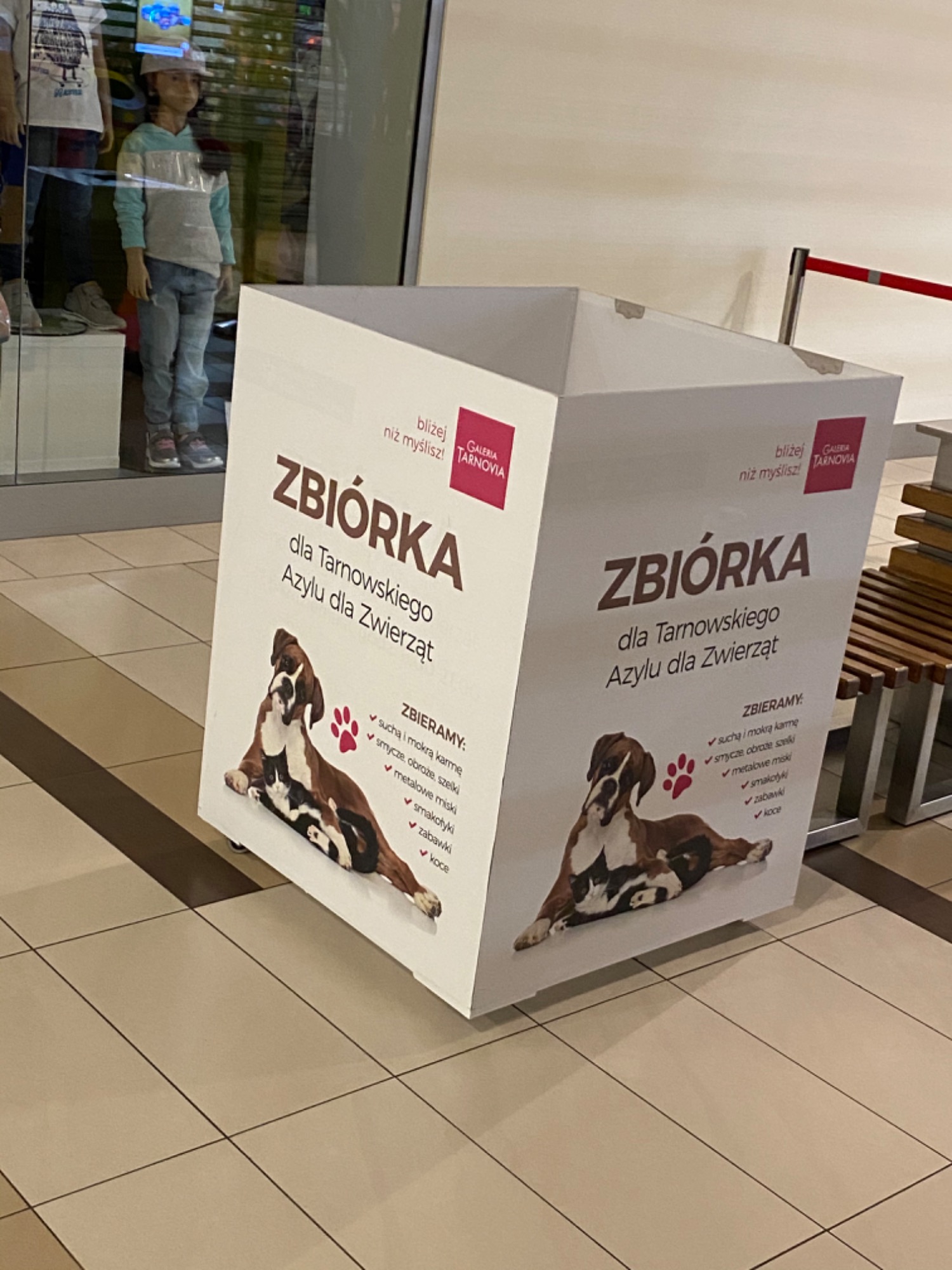 Duży, kwadratowy pojemnik z nadrukowanym hasłem 'Zbiórka dla Tarnowskiego Azylu dla Zwierząt' oraz zdjęciem psa i kota leżących obok siebie, umieszczony wewnątrz galerii handlowej na tle sklepowych...