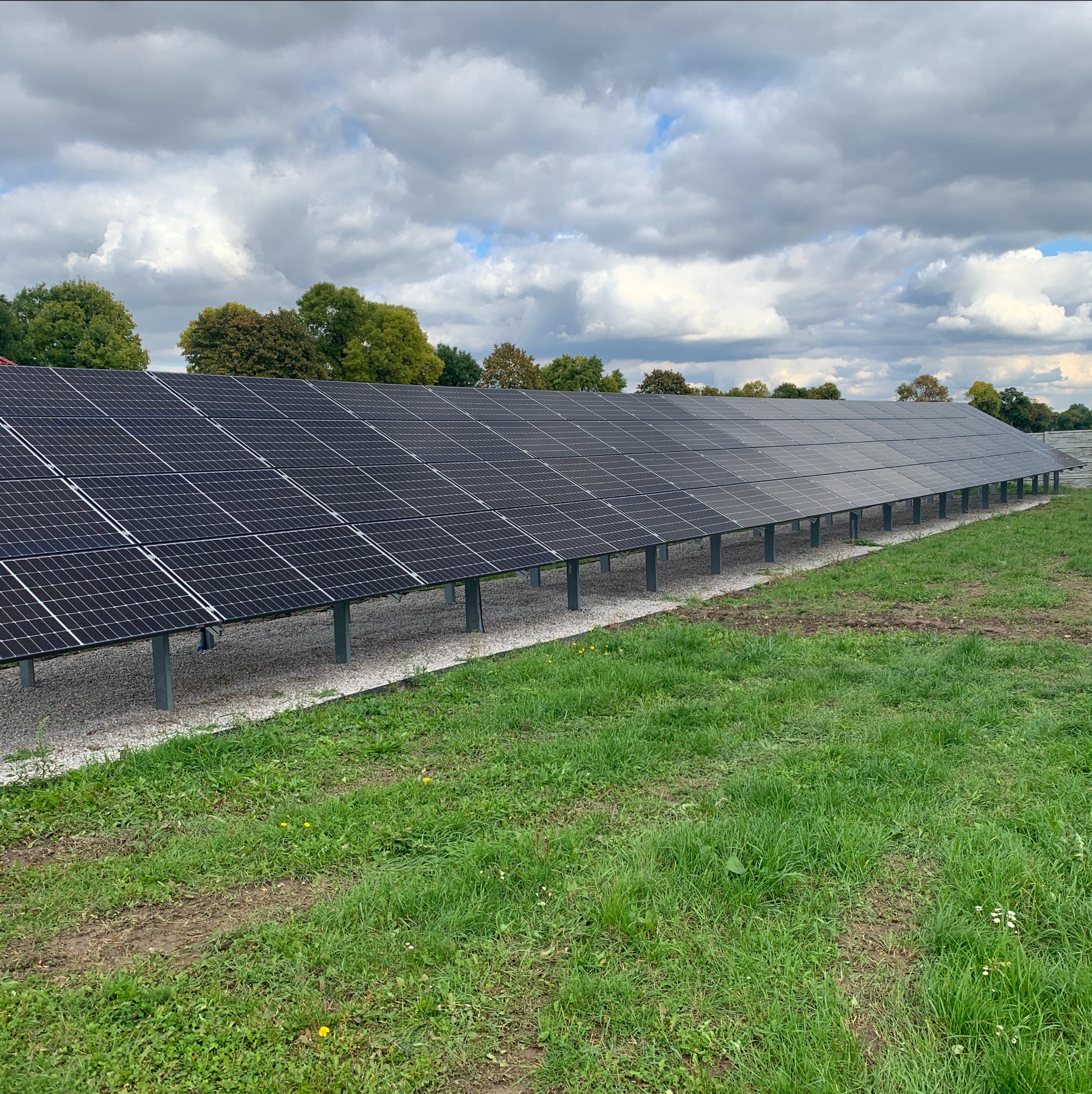 Rząd paneli słonecznych ustawionych na niskich, szarych podporach na żwirowym podłożu, z zieloną trawą w pierwszym planie i drzewami w tle pod pochmurnym niebem.