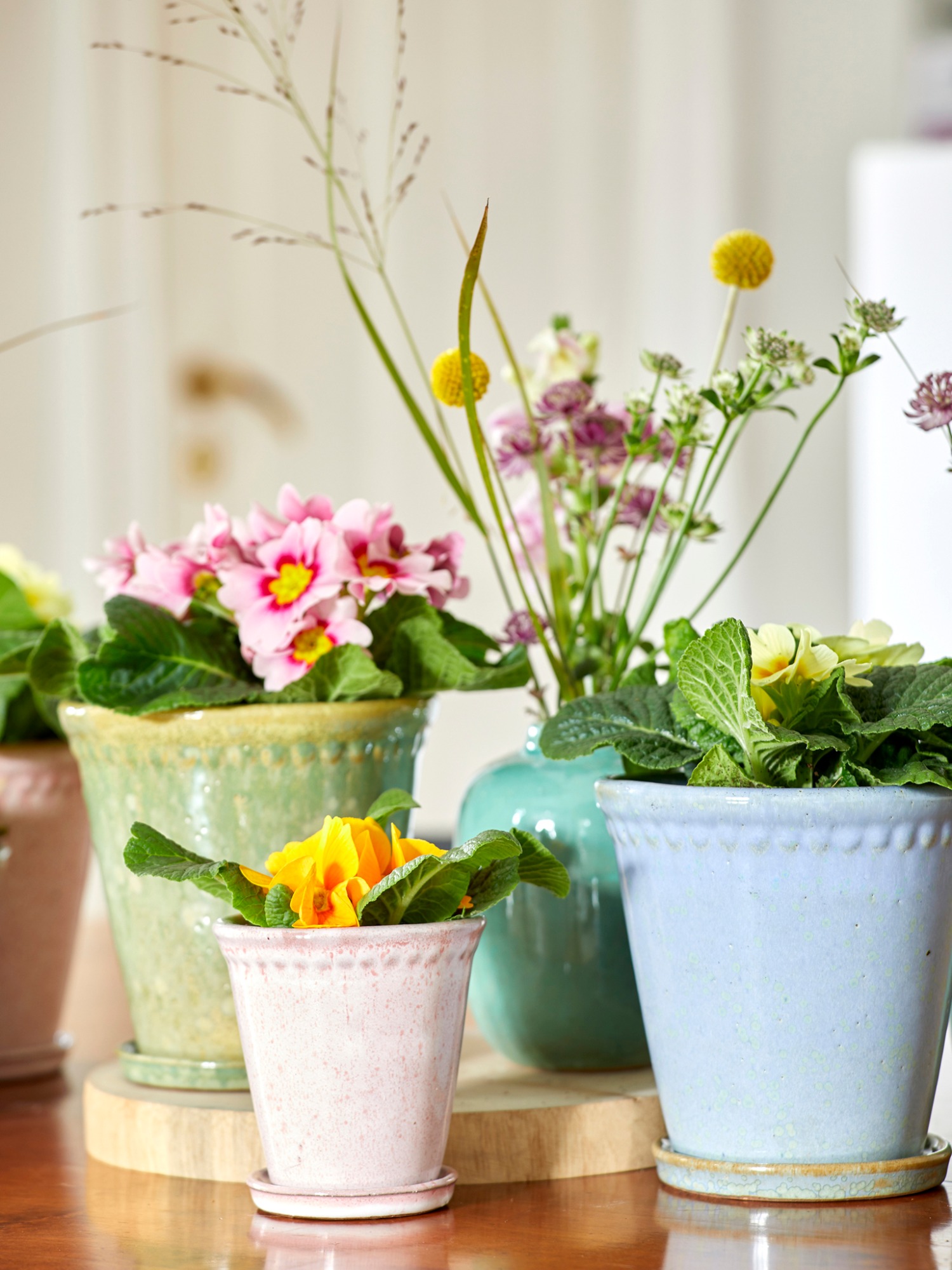 Kompozycja kwiatowa z prymulkami w ceramicznych doniczkach o pastelowych odcieniach, umieszczona na drewnianym stole, z bukietem polnych kwiatów w tle.