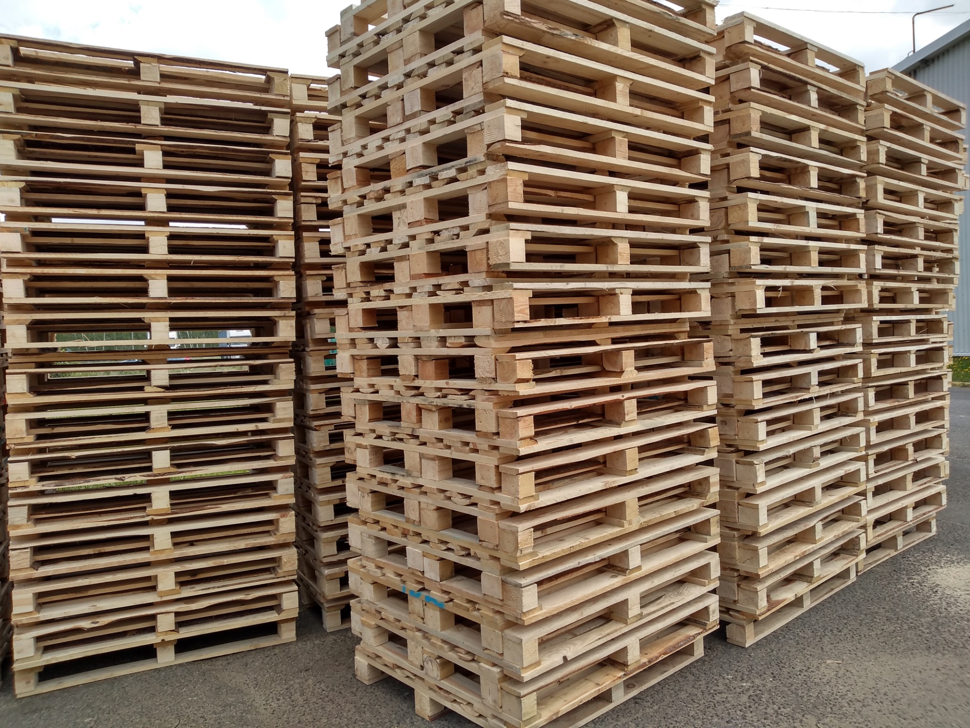 Stosy jasnych, drewnianych palet ułożone w rzędach na zewnątrz, widoczne elementy konstrukcyjne i szare podłoże.