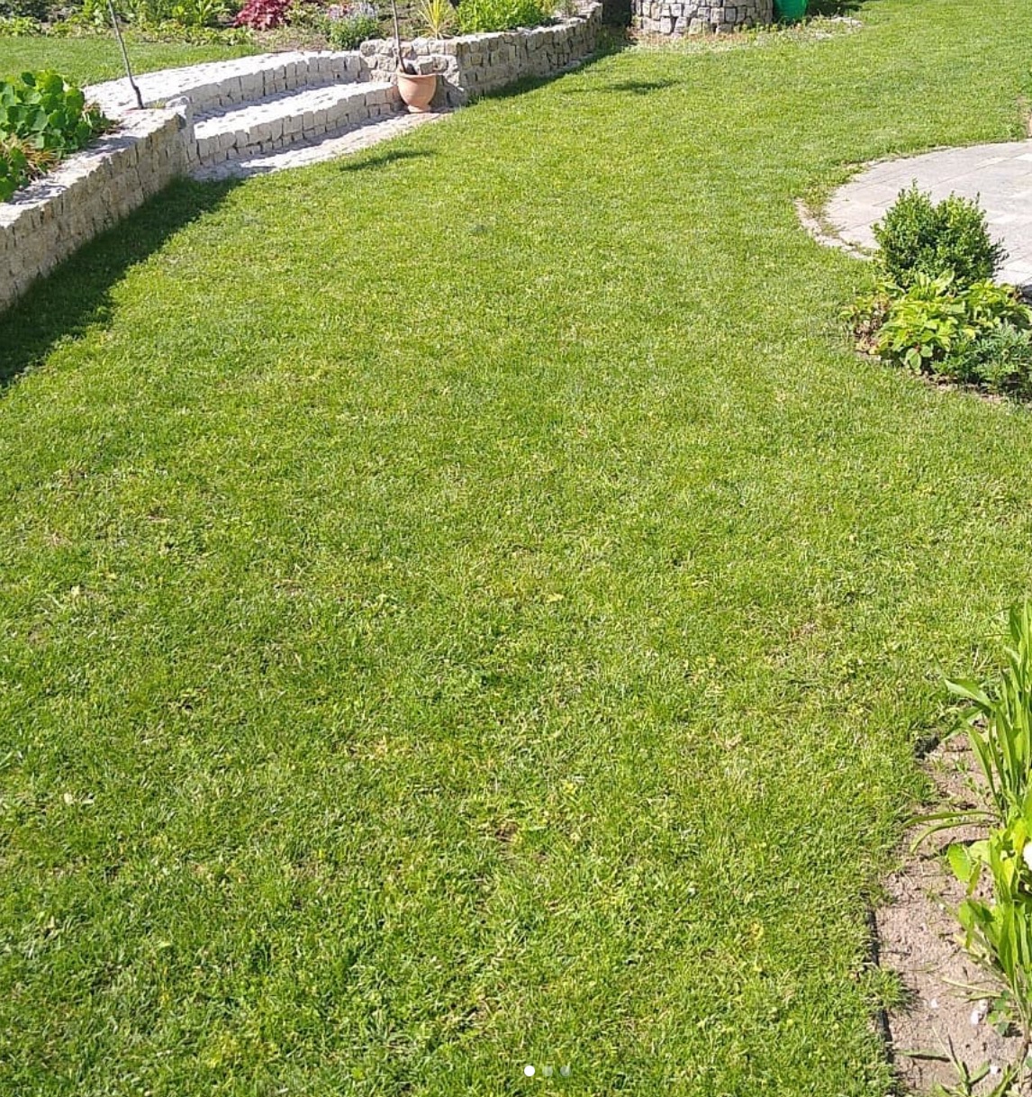 Zadbany trawnik z niską trawą, kamienny murek z roślinami po lewej stronie, schody i doniczka w tle, okrągły klomb z krzewami po prawej stronie.