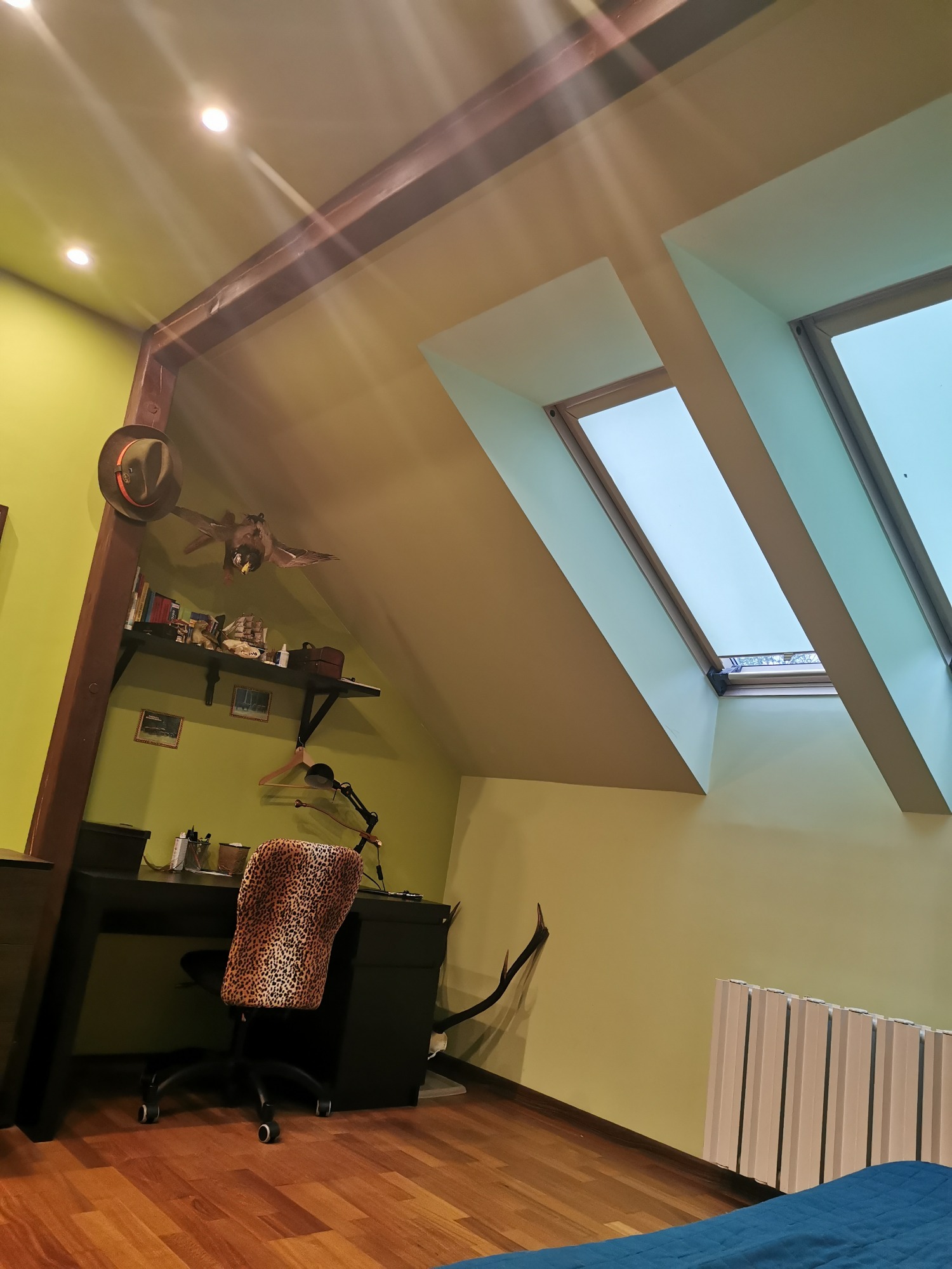 Poddasze zaadaptowane na biuro z oknami dachowymi, zielonymi ścianami, drewnianą belką konstrukcyjną, biurkiem i krzesłem w panterkę.