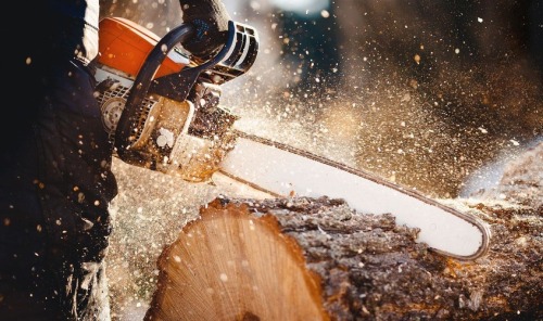 Piła łańcuchowa w akcji, tnąca kłodę drewna, z widocznymi wiórami i pyłem drzewnym w promieniach słońca.