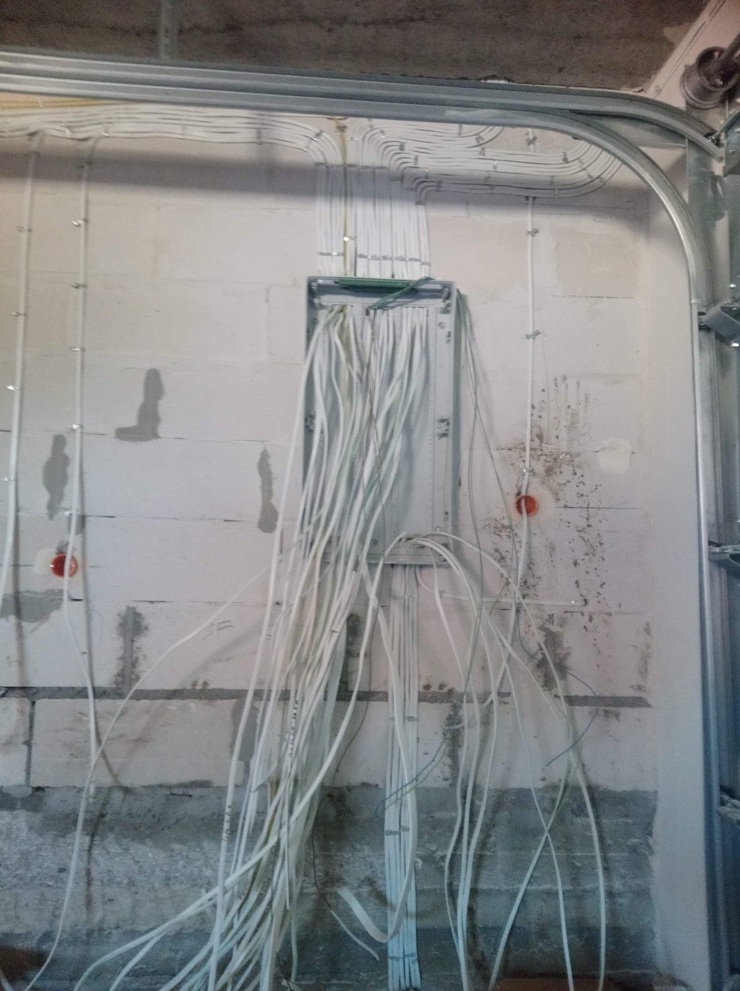 Rozdzielnica z licznymi kablami w surowym stanie, widoczne przewody ułożone w korytkach na suficie, ściana z betonu komórkowego przed wykończeniem.