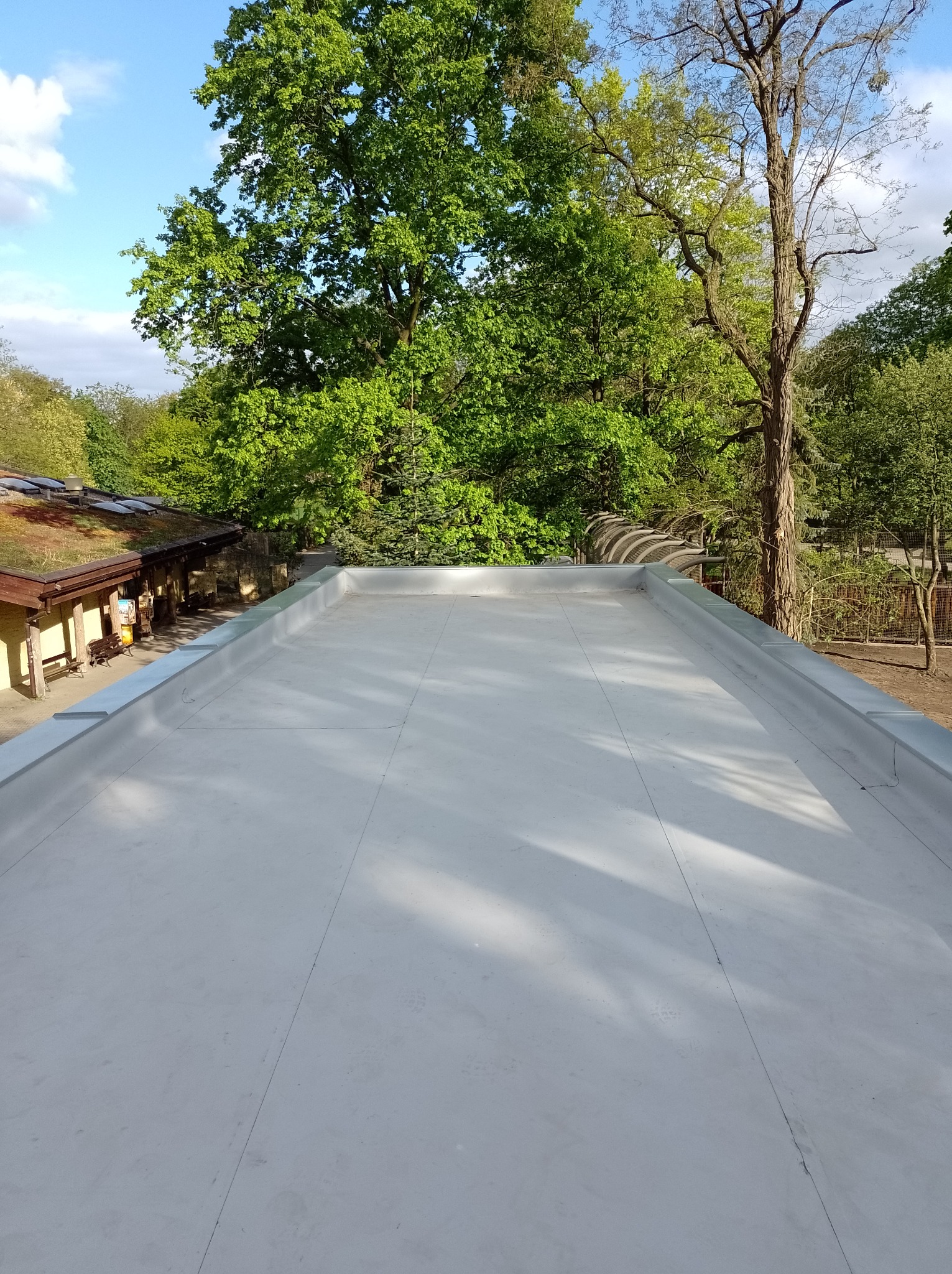 Jasnoszary płaski dach z widocznymi łączeniami, otoczony zielenią drzew i budynkami w tle.