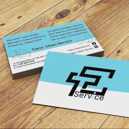 Trans-Clean Service Olha Terebova - Mycie Okien Dachowych Poznań