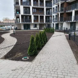 Nowoczesny dziedziniec z szarą kostką brukową ułożoną w prosty wzór, obok rabata z młodymi tujami i ścieżka z drobnych kamieni, na tle nowego budynku mieszkalnego.