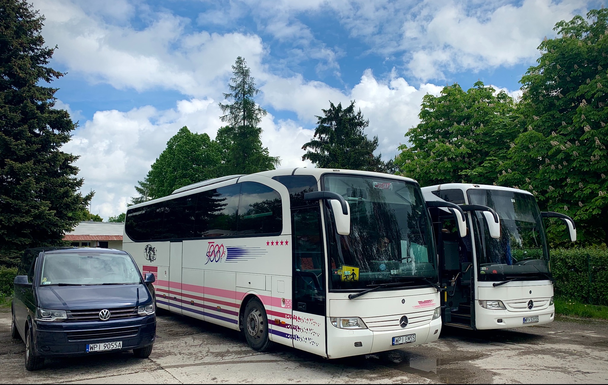 Dwa białe autokary Mercedes-Benz z różowymi i fioletowymi pasami, zaparkowane obok niebieskiego Volkswagena Transportera na placu z drzewami w tle.