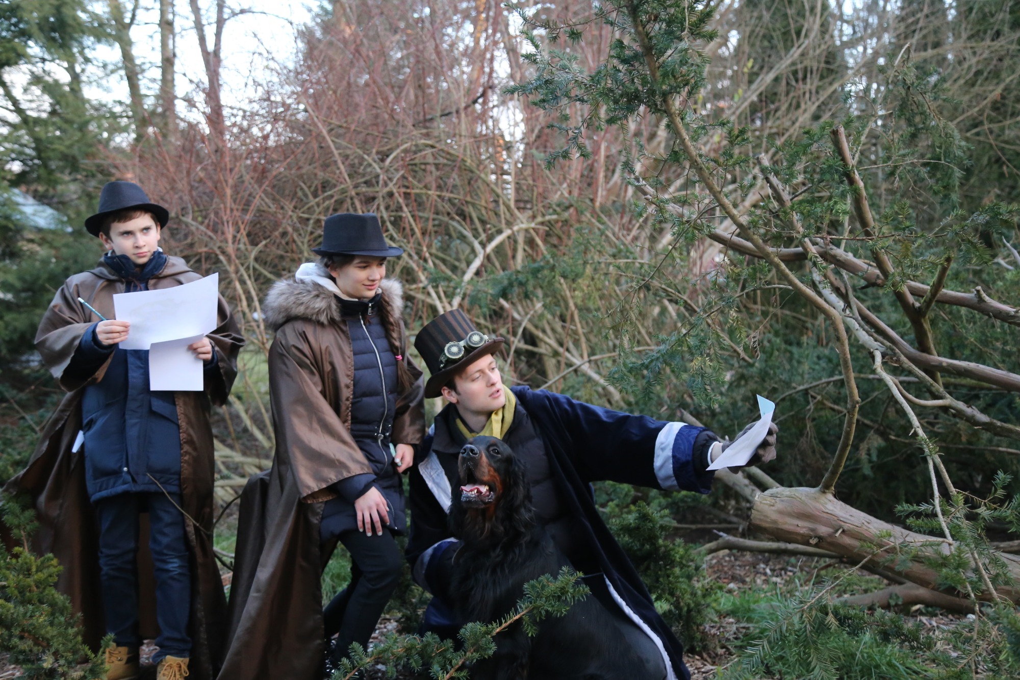 W poszukiwaniu dębowych skrzyń - Misja dla uczestników programu Świat Sanguinów