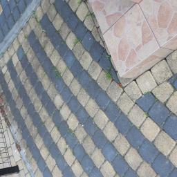 Pielęgnacja ogrodów Kwidzyn 4