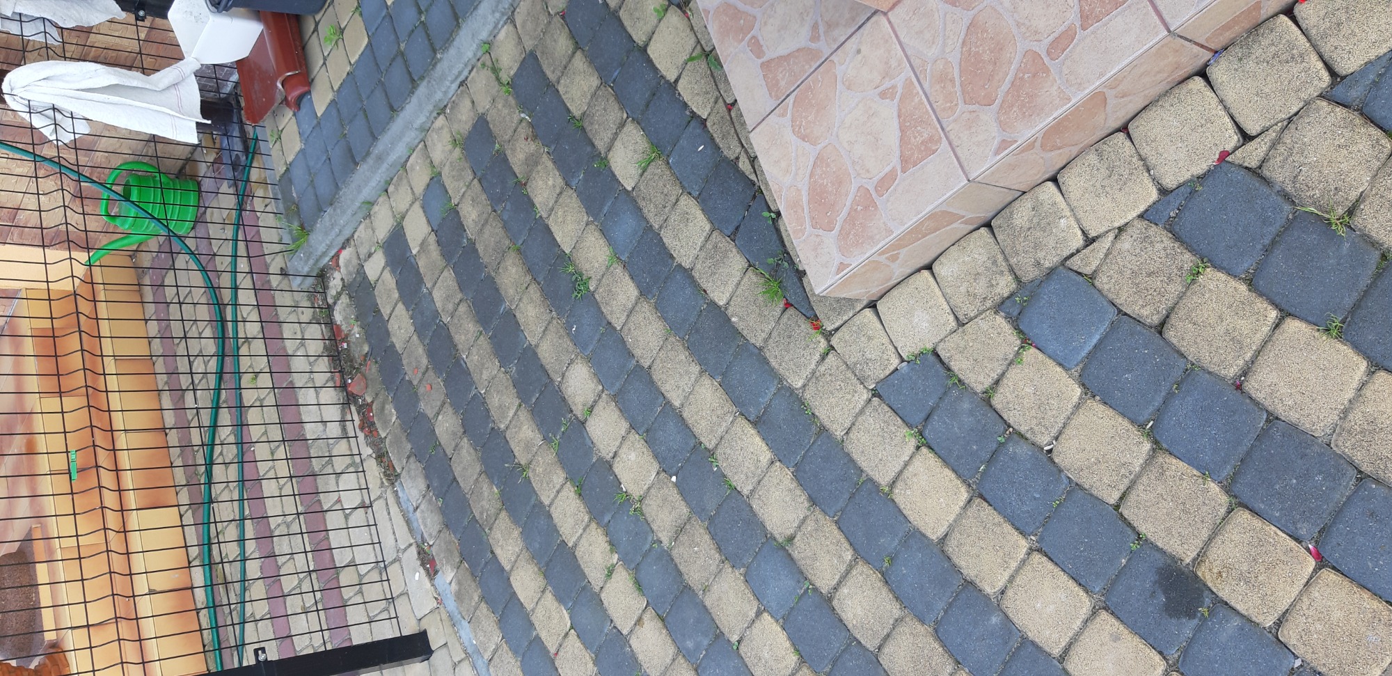 Ułożona kostka brukowa w dwa kolory, z widocznymi chwastami między kostkami, obok fragmentu schodów wyłożonych płytkami i siatki ogrodzeniowej z zielonym wężem ogrodowym i konewką.