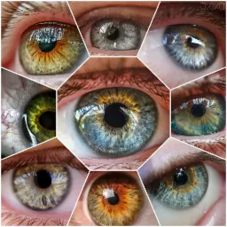 Mozaika zbliżeń na tęczówki oczu o różnorodnych barwach: zielone, brązowe, szare i niebieskie, z widocznymi refleksami światła.