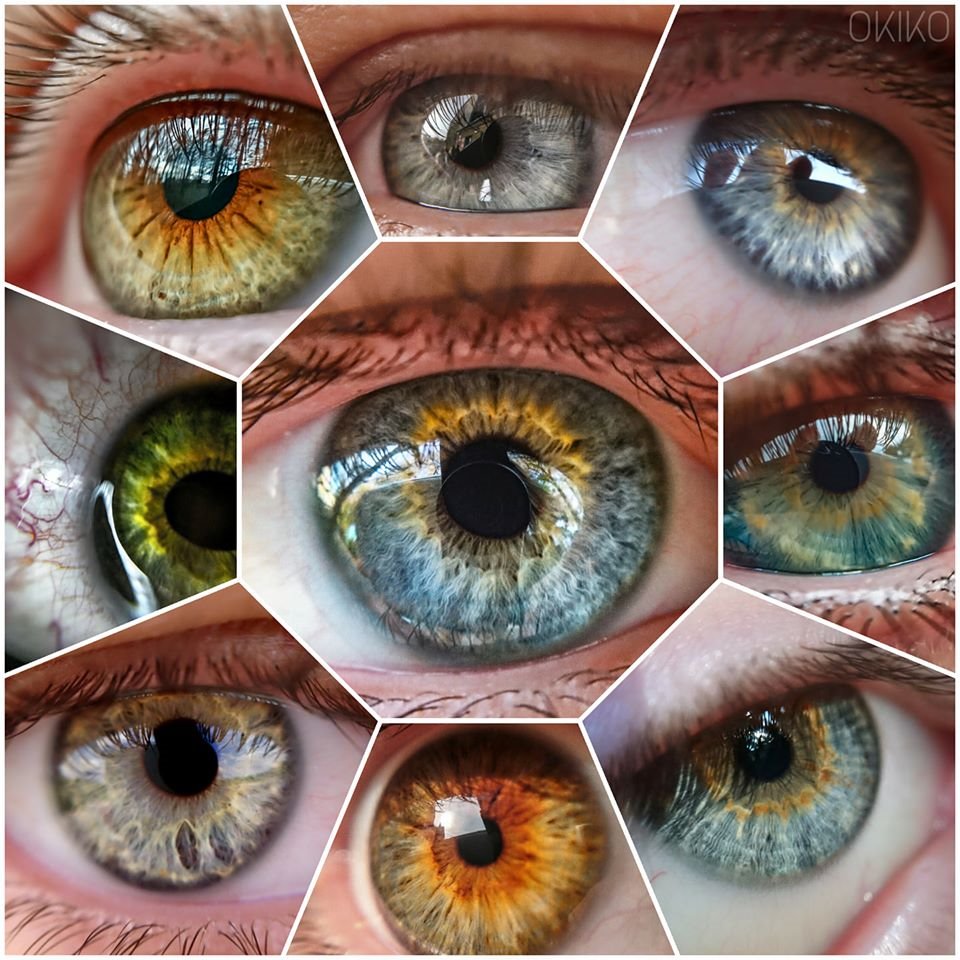 Mozaika zbliżeń na tęczówki oczu o różnorodnych barwach: zielone, brązowe, szare i niebieskie, z widocznymi refleksami światła.