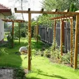 Drewniana pergola w ogrodzie, z młodymi pnączami, trawnik i metalowe ogrodzenie w tle.