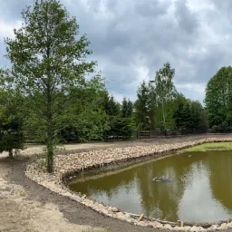 Nowo wykopany staw z brzegiem wyłożonym kamieniami i drewnianym umocnieniem, otoczony zielenią drzew i krzewów pod pochmurnym niebem.