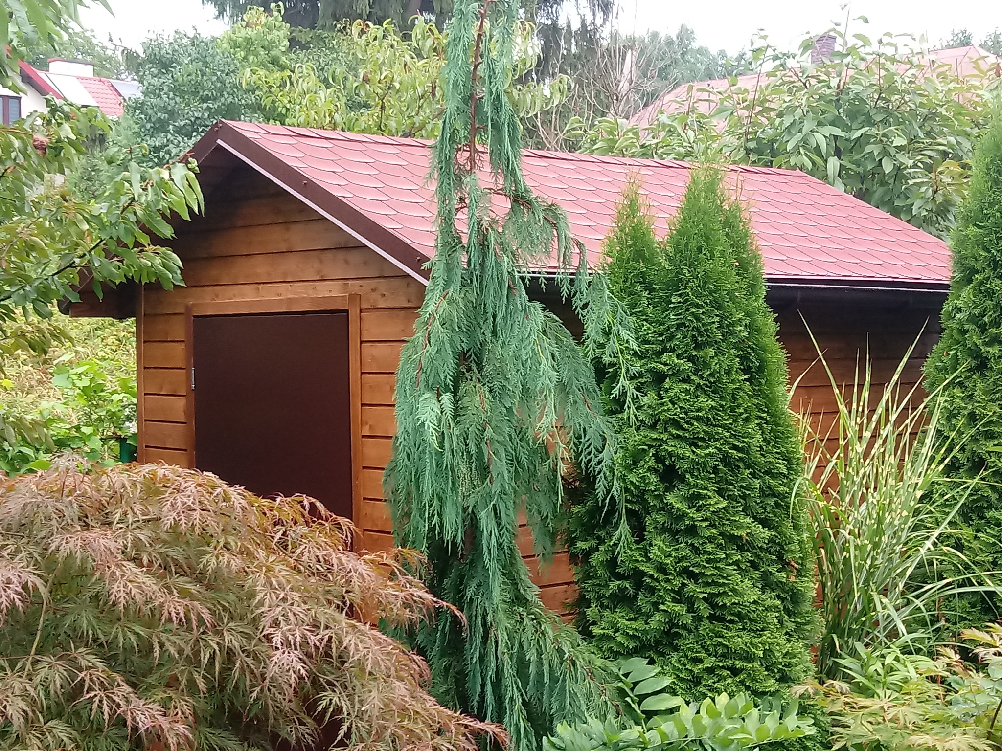 Niewielki, drewniany domek narzędziowy z czerwoną dachówką, otoczony różnorodną zielenią, w tym płaczącym cyprysem i klonem palmowym.