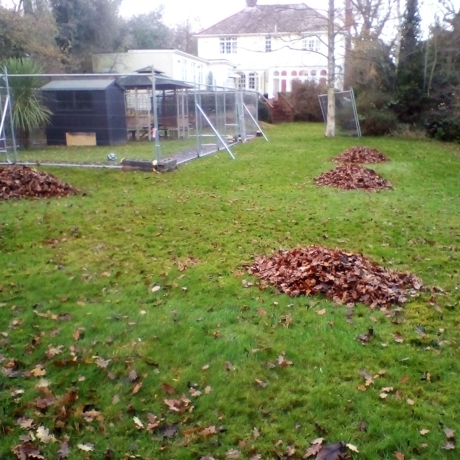 Aranzacja wybiegu dla czworonoga.