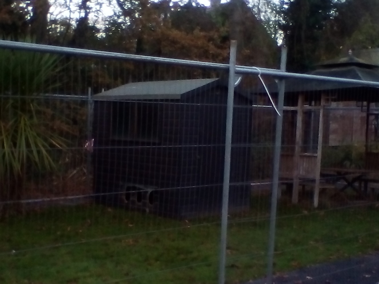 Ciemny, drewniany domek narzędziowy za metalowym ogrodzeniem tymczasowym na trawniku, z widoczną altaną w tle.