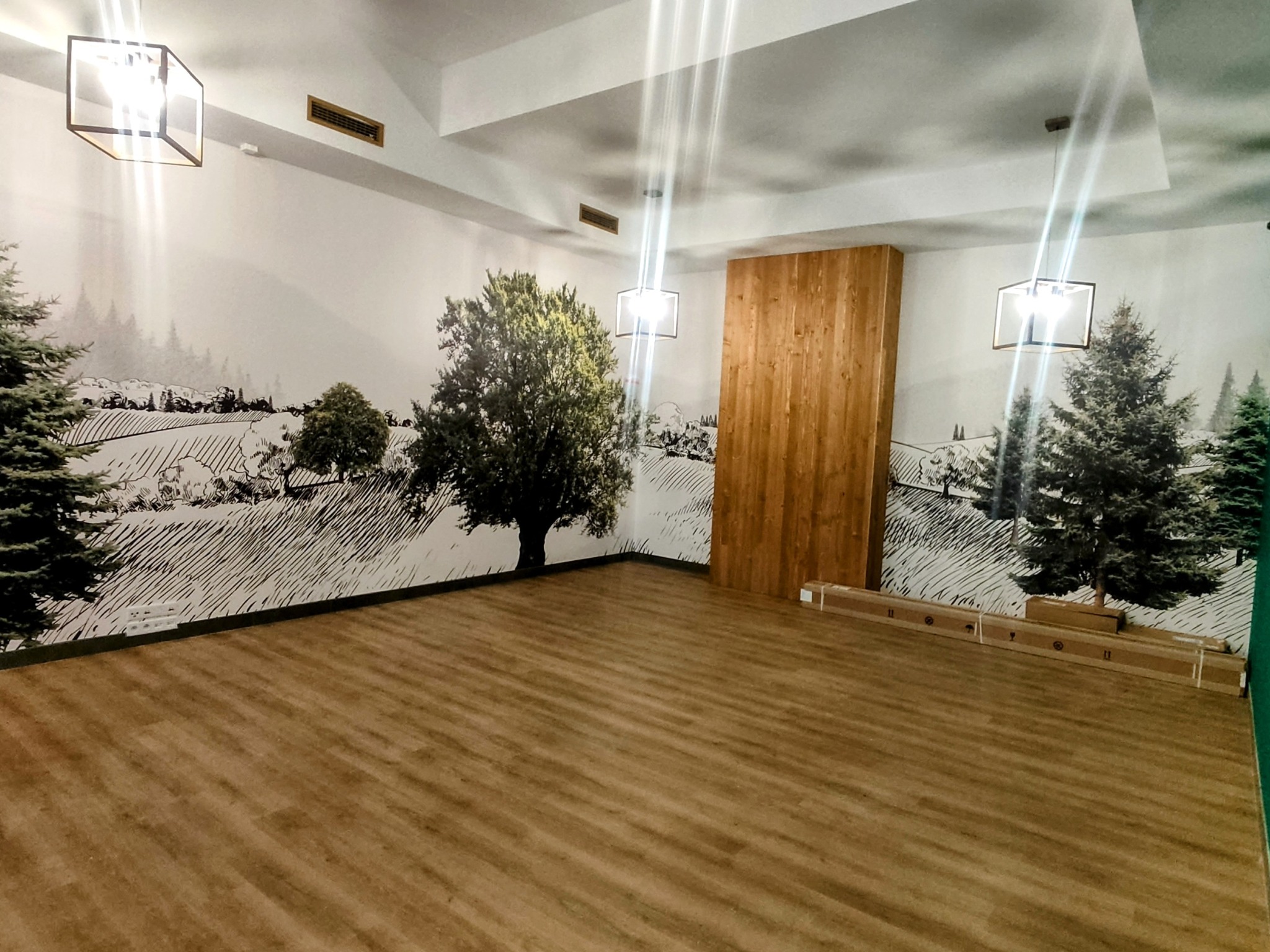 Puste pomieszczenie z panelami podłogowymi, ściany ozdobione fototapetą z motywem drzew i drewnianą ścianką działową, kartony z panelami leżące przy ścianie, geometryczne lampy sufitowe.